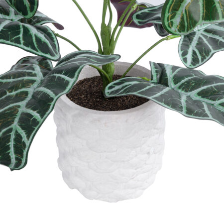 ALOCASIA 20886 Τεχνητό Διακοσμητικό Φυτό Αλοκασία Φ38 x Υ33cm -  Sticky 2