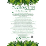 ALOCASIA 20886 Τεχνητό Διακοσμητικό Φυτό Αλοκασία Φ38 x Υ33cm