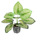 CALADIUM 20889 Τεχνητό Διακοσμητικό Φυτό Τροπικό Καλάδιο Φ40 x Υ33cm