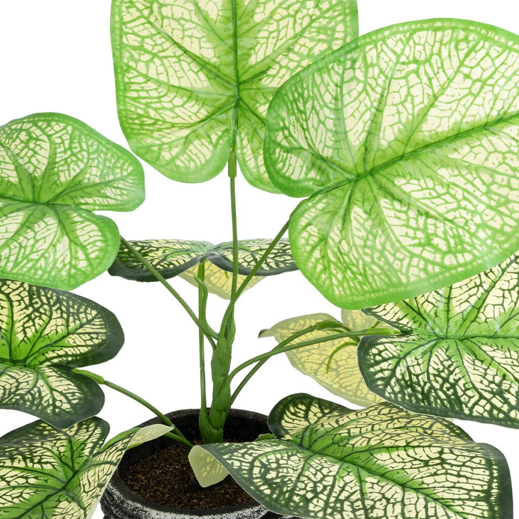 CALADIUM 20889 Τεχνητό Διακοσμητικό Φυτό Τροπικό Καλάδιο Φ40 x Υ33cm