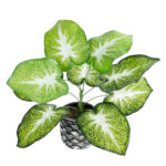 CALADIUM 20890 Τεχνητό Διακοσμητικό Φυτό Τροπικό Φυτό  Φ40 x Υ33cm
