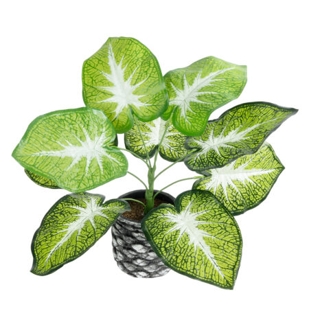 CALADIUM 20890 Τεχνητό Διακοσμητικό Φυτό Τροπικό Φυτό  Φ40 x Υ33cm - Τροπικα και Ιδιαιτερα Τεχνητα φυτα