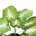CALADIUM 20890 Τεχνητό Διακοσμητικό Φυτό Τροπικό Φυτό  Φ40 x Υ33cm