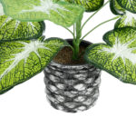 CALADIUM 20890 Τεχνητό Διακοσμητικό Φυτό Τροπικό Φυτό  Φ40 x Υ33cm