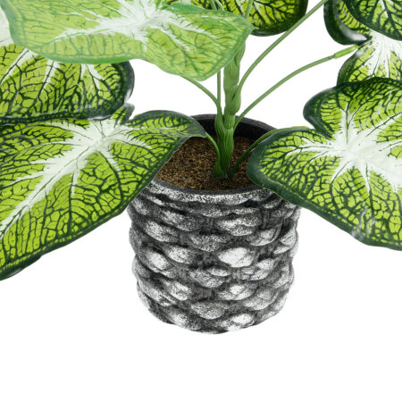 CALADIUM 20890 Τεχνητό Διακοσμητικό Φυτό Τροπικό Φυτό  Φ40 x Υ33cm - Τροπικα και Ιδιαιτερα Τεχνητα φυτα Sticky 2
