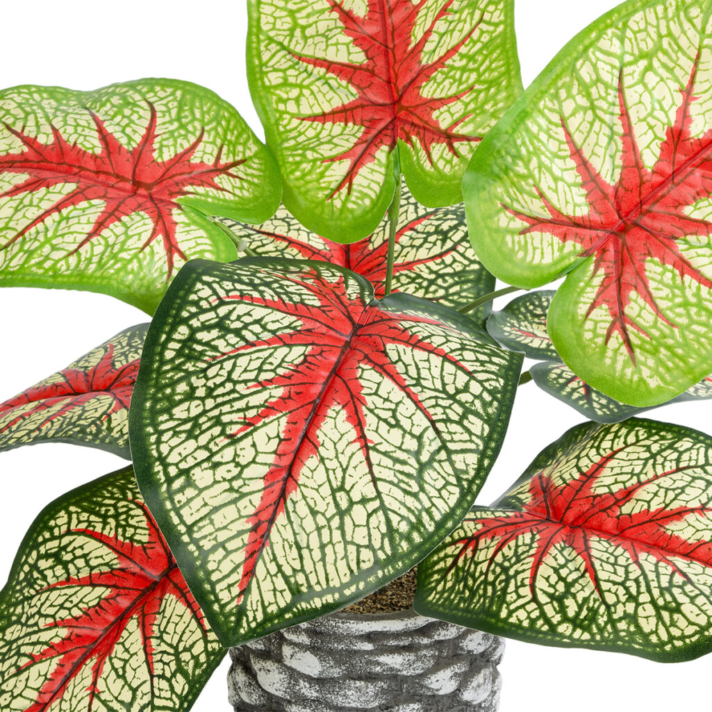 CALADIUM 20891 Τεχνητό Διακοσμητικό Φυτό Τροπικό Φυτό Καλάδιο Φ40 x Υ33cm