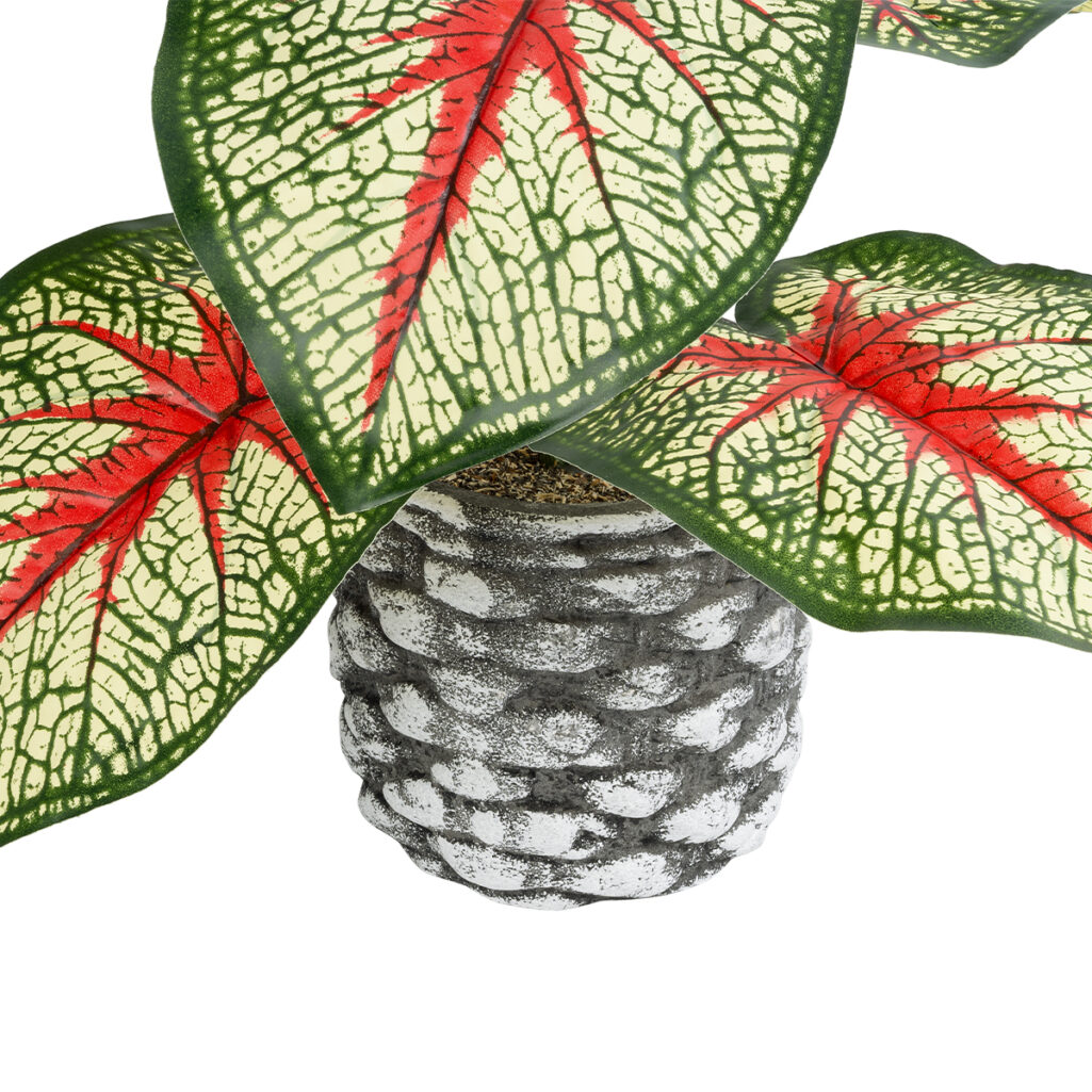 CALADIUM 20891 Τεχνητό Διακοσμητικό Φυτό Τροπικό Φυτό Καλάδιο Φ40 x Υ33cm