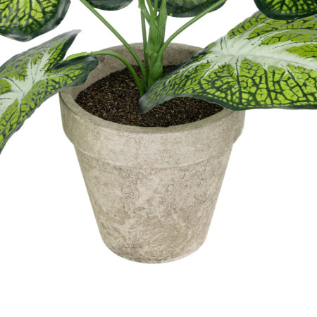 CALADIUM POTTED PLANT 20894 Διακοσμητικό Φυτό Καλάντιουμ Φ40 x Υ33cm - Τροπικα και Ιδιαιτερα Τεχνητα φυτα Sticky 2
