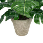 MONSTERA POTTED PLANT 20895 - Διακοσμητικό Φυτό Μονστέρα Φ40 x Υ33cm
