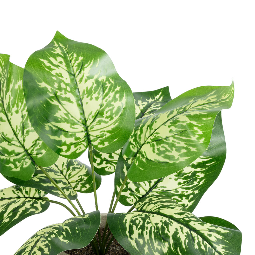 DIEFFENBACHIA POTTED PLANT 20897 Διακοσμητικό Φυτό Διφενμπάχια Φ40 x Υ33cm