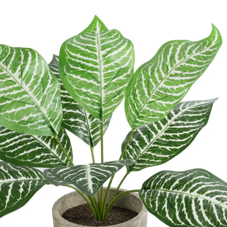 ZEBRA POTTED PLANT 20898 Διακοσμητικό Φυτό Ζέμπρα Φ40 x Υ33cm - Τροπικα και Ιδιαιτερα Τεχνητα φυτα Sticky 1