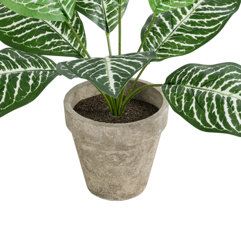 ZEBRA POTTED PLANT 20898 Διακοσμητικό Φυτό Ζέμπρα Φ40 x Υ33cm