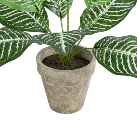 ZEBRA POTTED PLANT 20898 Διακοσμητικό Φυτό Ζέμπρα Φ40 x Υ33cm - Τροπικα και Ιδιαιτερα Τεχνητα φυτα Sticky 2