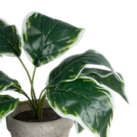 WHITE HOSTA PLANT 20900 Διακοσμητικό Φυτό Λευκή Χόστα Φ45 x Υ40cm - Τροπικα και Ιδιαιτερα Τεχνητα φυτα Sticky 1