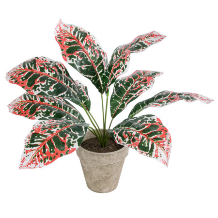 RED AGLAONEMA POTTED PLANT 20901 Διακοσμητικό Φυτό Κόκκινο Αγλαόνημα Φ40 x Υ33cm - Τροπικα και Ιδιαιτερα Τεχνητα φυτα