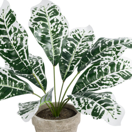 WHITE AGLAONEMA POTTED PLANT 20903 Διακοσμητικό Φυτό Λευκό Αγλαόνημα Φ40 x Υ33cm - Τροπικα και Ιδιαιτερα Τεχνητα φυτα Sticky 1