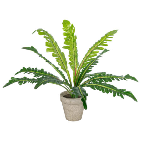 ASPLENIUM POTTED PLANT 20904 Διακοσμητικό Φυτό Aslenium Φ40 x Υ33cm - Τροπικα και Ιδιαιτερα Τεχνητα φυτα