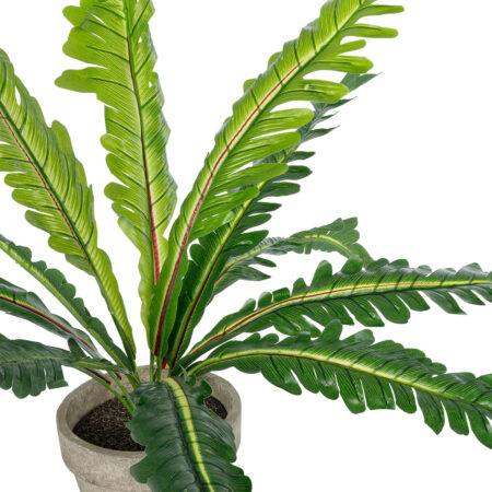 ASPLENIUM POTTED PLANT 20904 Διακοσμητικό Φυτό Aslenium Φ40 x Υ33cm - Τροπικα και Ιδιαιτερα Τεχνητα φυτα Sticky 1