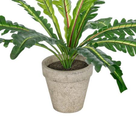 ASPLENIUM POTTED PLANT 20904 Διακοσμητικό Φυτό Aslenium Φ40 x Υ33cm - Τροπικα και Ιδιαιτερα Τεχνητα φυτα Sticky 2