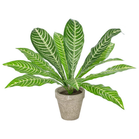 ZEBRA POTTED PLANT 20906 Διακοσμητικό Φυτό Ζέμπρα Φ40 x Υ33cm - Τροπικα και Ιδιαιτερα Τεχνητα φυτα