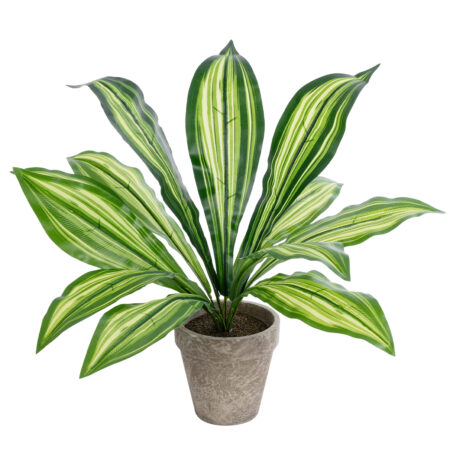DRACAENA POTTED PLANT 20907 Διακοσμητικό Φυτό Δράκενα Φ40 x Υ33cm - 