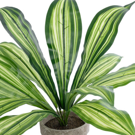 DRACAENA POTTED PLANT 20907 Διακοσμητικό Φυτό Δράκενα Φ40 x Υ33cm -  Sticky 1