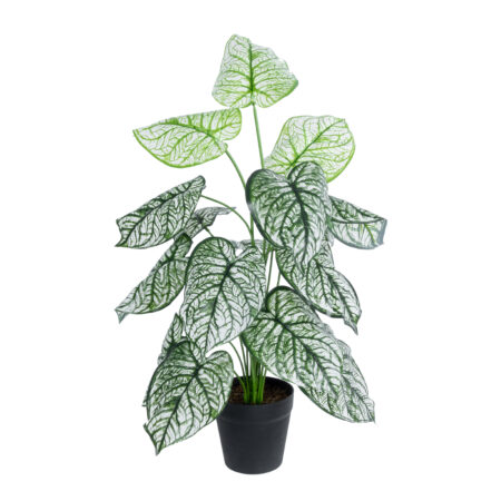 CALADIUM 20908 Διακοσμητικό Φυτό Καλάδια Υ75cm - Τροπικα και Ιδιαιτερα Τεχνητα φυτα