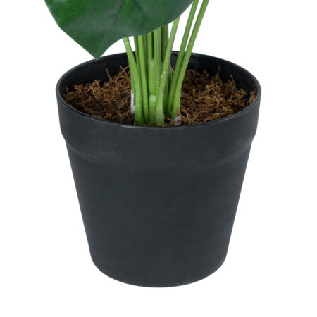 MONSTERA PLANT 20909 - Διακοσμητικό Φυτό Μονστέρα Φ50 x Υ75cm - Τεχνητες Μονστερες και Φιλοδεντρα Sticky 2