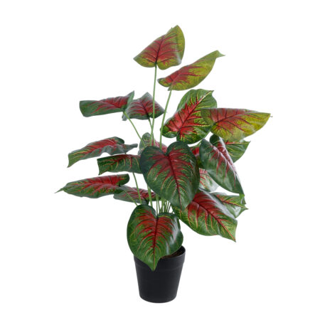 CALADIUM MIX 20911 Διακοσμητικό Φυτό Καλάντιουμ Υ75cm - Τροπικα και Ιδιαιτερα Τεχνητα φυτα