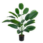 YOUNG BANANA PLANT 20916 - Διακοσμητικό Φυτό Νεαρή Μπανανιά Φ82 x Υ80cm