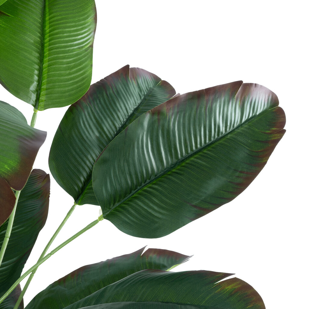 OLD BANANA PLANT 20917 - Διακοσμητικό Φυτό Ώριμη Μπανανιά Φ90 x Υ80cm