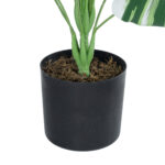 BANANA ZEBRA PLANT 20918 - Διακοσμητικό Φυτό Μπανανιά Ζέβρα Φ83 x Υ80cm
