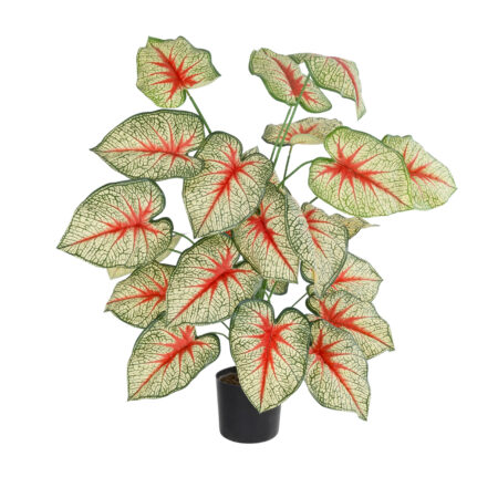 CALADIUM PLANT 20921 Διακοσμητικό Φυτό Καλάντιουμ Φ75 x Υ80cm - Τροπικα και Ιδιαιτερα Τεχνητα φυτα