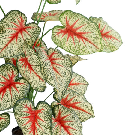 CALADIUM PLANT 20921 Διακοσμητικό Φυτό Καλάντιουμ Φ75 x Υ80cm - Τροπικα και Ιδιαιτερα Τεχνητα φυτα Sticky 1