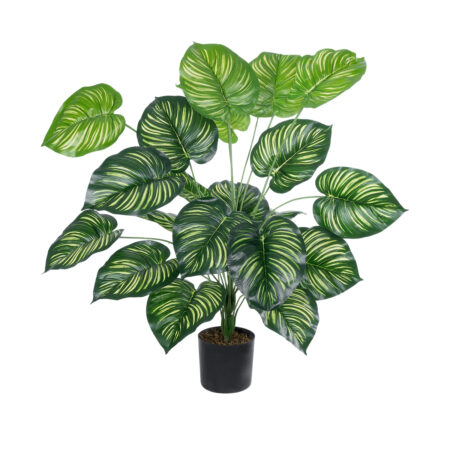 CALATHEA PLANT 20922 Διακοσμητικό Φυτό Καλαθέα Φ70 x Υ80cm - Τροπικα και Ιδιαιτερα Τεχνητα φυτα