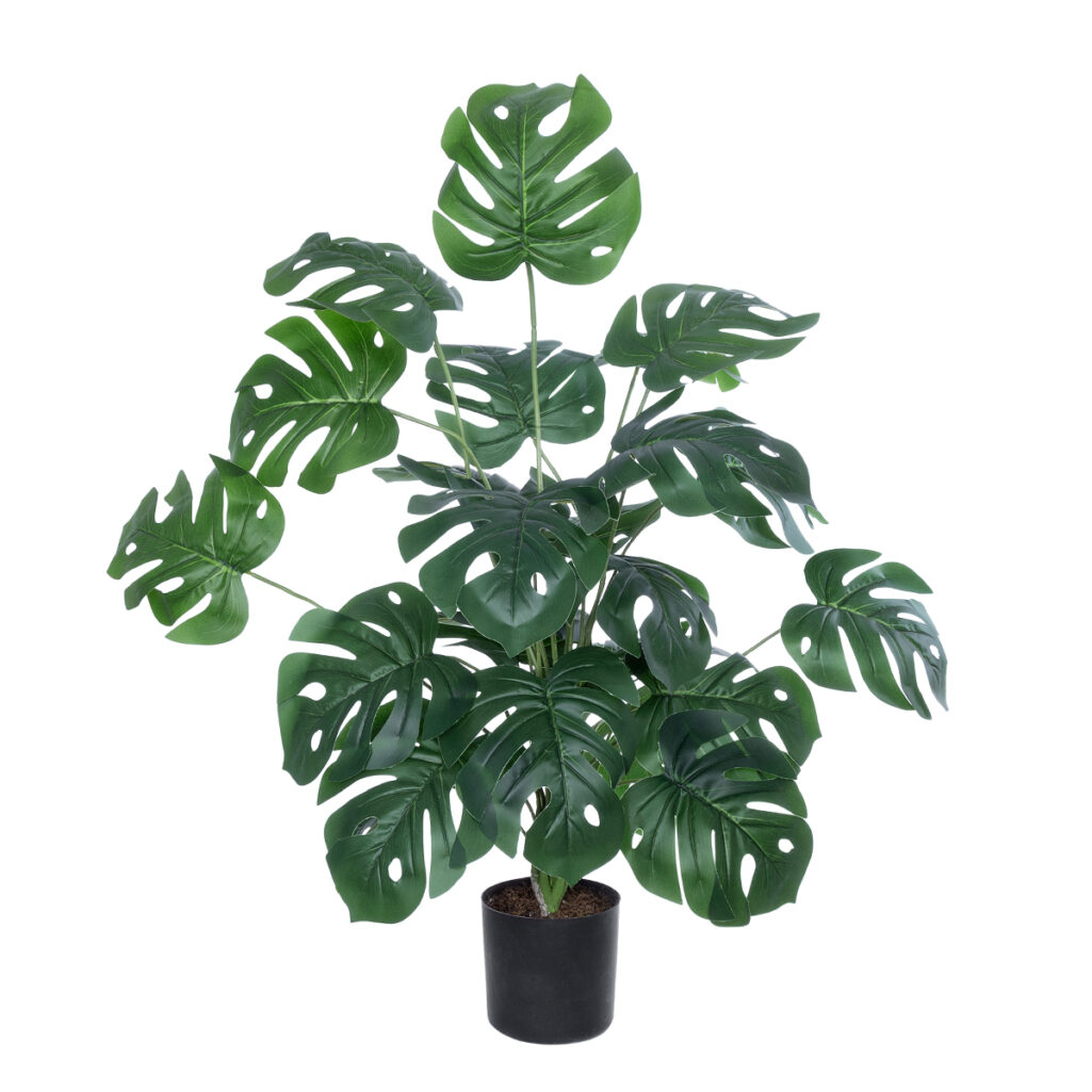 MONSTERA PLANT 20923 - Διακοσμητικό Φυτό Μονστέρα Φ80 x Υ80cm
