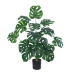 MONSTERA PLANT 20923 - Διακοσμητικό Φυτό Μονστέρα Φ80 x Υ80cm