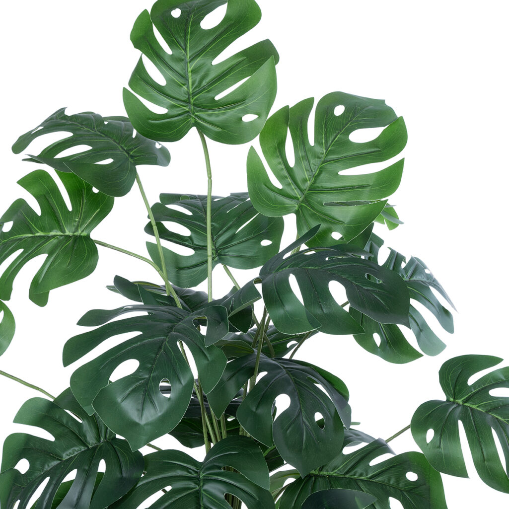 MONSTERA PLANT 20923 - Διακοσμητικό Φυτό Μονστέρα Φ80 x Υ80cm