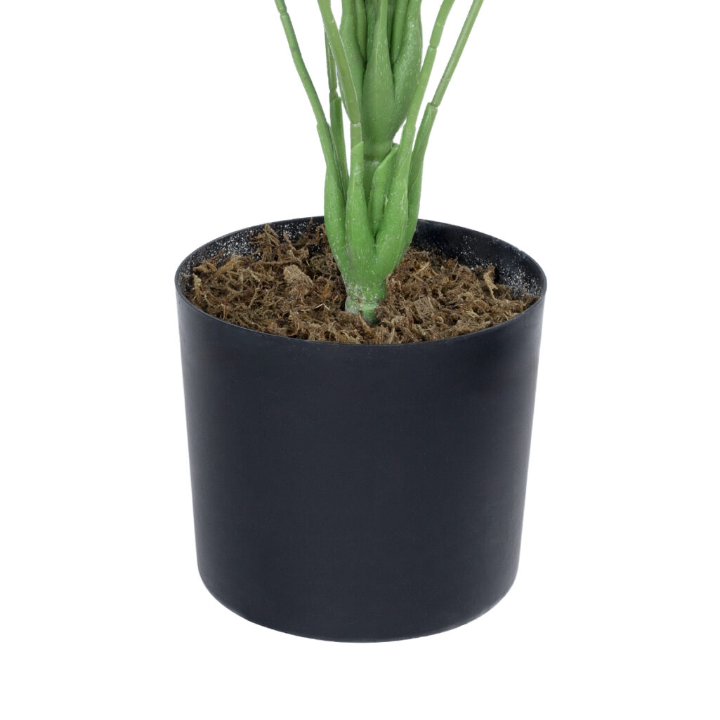 MONSTERA PLANT 20923 - Διακοσμητικό Φυτό Μονστέρα Φ80 x Υ80cm