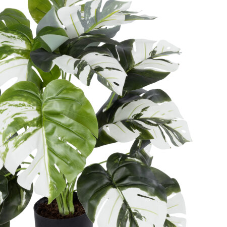 ALBINO MONSTERA PLANT 20925 - Διακοσμητικό Φυτό Λευκή Μονστέρα Φ70 x Υ75cm - Τεχνητες Μονστερες και Φιλοδεντρα Sticky 1