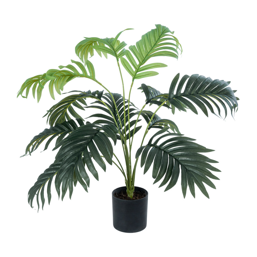 ARECA PALM PLANT 20926 - Διακοσμητικό Φυτό Αρέκα Φ60 x Υ55cm