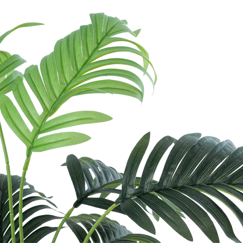ARECA PALM PLANT 20926 - Διακοσμητικό Φυτό Αρέκα Φ60 x Υ55cm