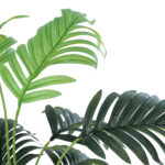 ARECA PALM PLANT 20926 - Διακοσμητικό Φυτό Αρέκα Φ60 x Υ55cm