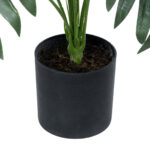 ARECA PALM PLANT 20926 - Διακοσμητικό Φυτό Αρέκα Φ60 x Υ55cm