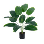 BANANA PLANT 20927 - Διακοσμητικό Φυτό Μπανανιά Φ70 x Υ55cm