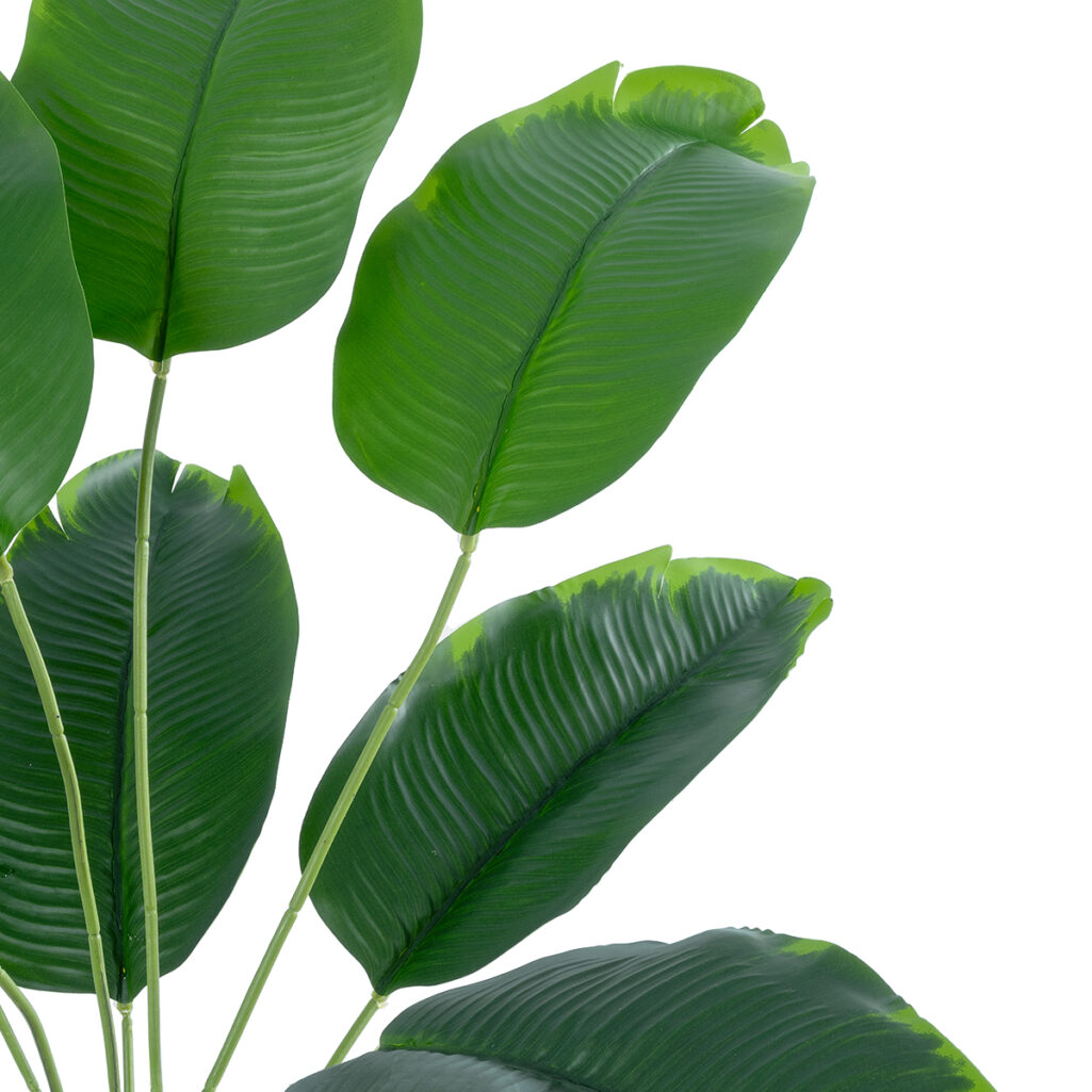 BANANA PLANT 20927 - Διακοσμητικό Φυτό Μπανανιά Φ70 x Υ55cm