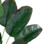 BANANA PLANT 20928 - Διακοσμητικό Φυτό Μπανανιά Φ70 x Υ55cm