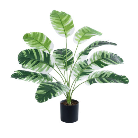 BANANA PLANT ZEBRA 20929 - Διακοσμητικό Φυτό Μπανανιά Ζέβρα Φ70 x Υ55cm - 