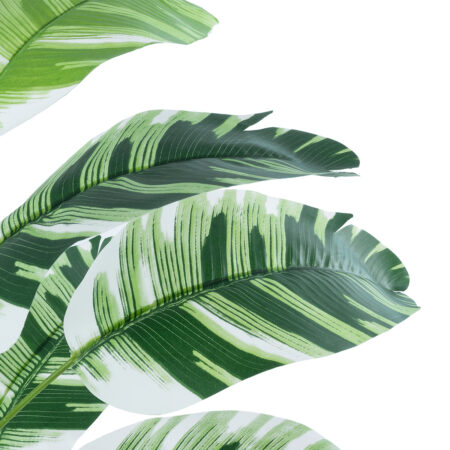 BANANA PLANT ZEBRA 20929 - Διακοσμητικό Φυτό Μπανανιά Ζέβρα Φ70 x Υ55cm -  Sticky 1
