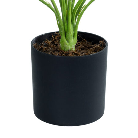 BANANA PLANT ZEBRA 20929 - Διακοσμητικό Φυτό Μπανανιά Ζέβρα Φ70 x Υ55cm -  Sticky 2
